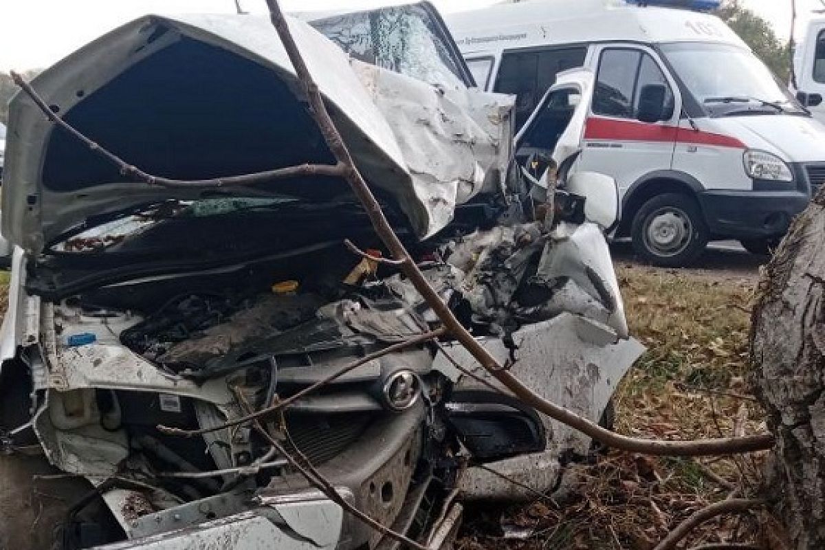 На Кубани легковушку смяло от удара в дерево. Погибла женщина, есть пострадавшие