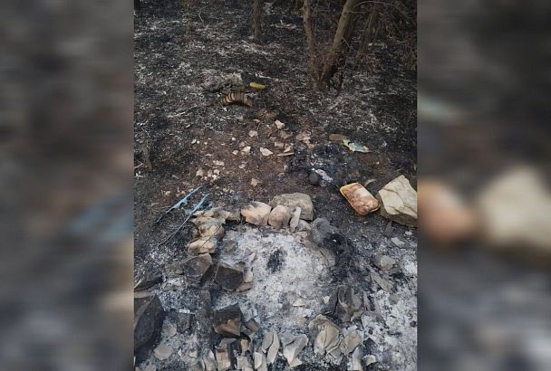 Найдено место, откуда начался лесной пожар в Геленджике