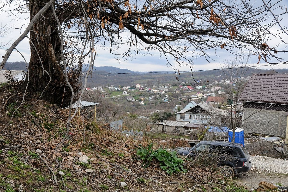 Поиски Вероники Тришкиной