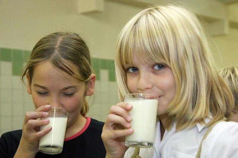 В Краснодарском крае начнут контролировать качество поступающих в школы и детсады продуктов