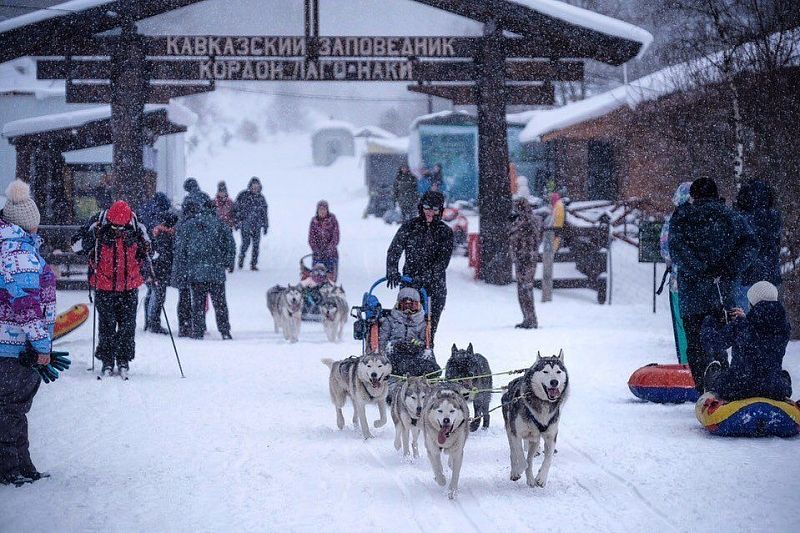 Туристический маршрут «Хаски в Лагонаки» заработал в первый день зимы