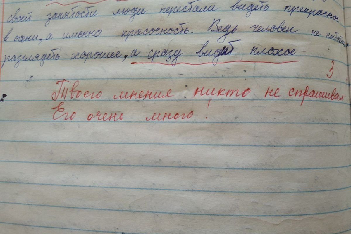 Учитель в Ейске извинилась перед школьником за некорректное замечание к сочинению