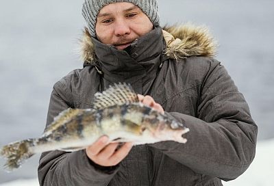 Клюет всю зиму! Узнал, где держится судак, и теперь ловлю его со льда спокойно – вот где его искать