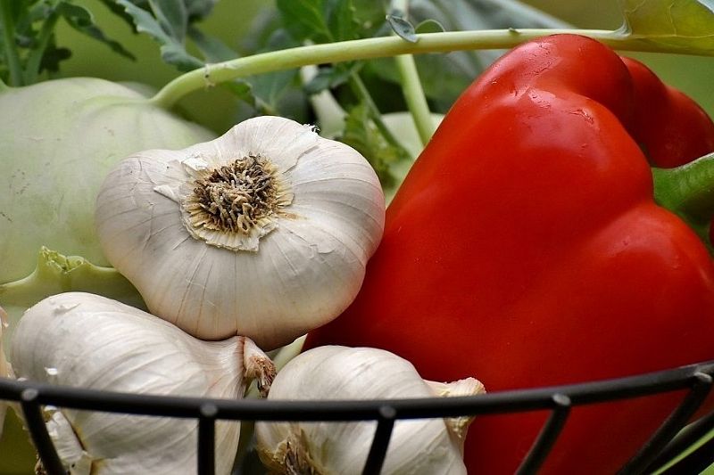 Какой овощ спасет от гипертонии и рака