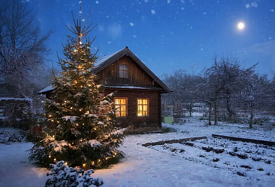 Лунный календарь садовода с 27 декабря по 2 января: что делать, если даже в Новый год не можешь ничего не делать