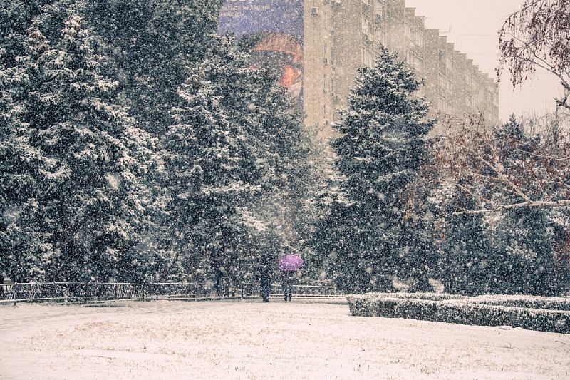 Мощный снегопад накроет Краснодарский край: когда испортится погода