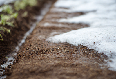 Можно ли вносить удобрения по снегу