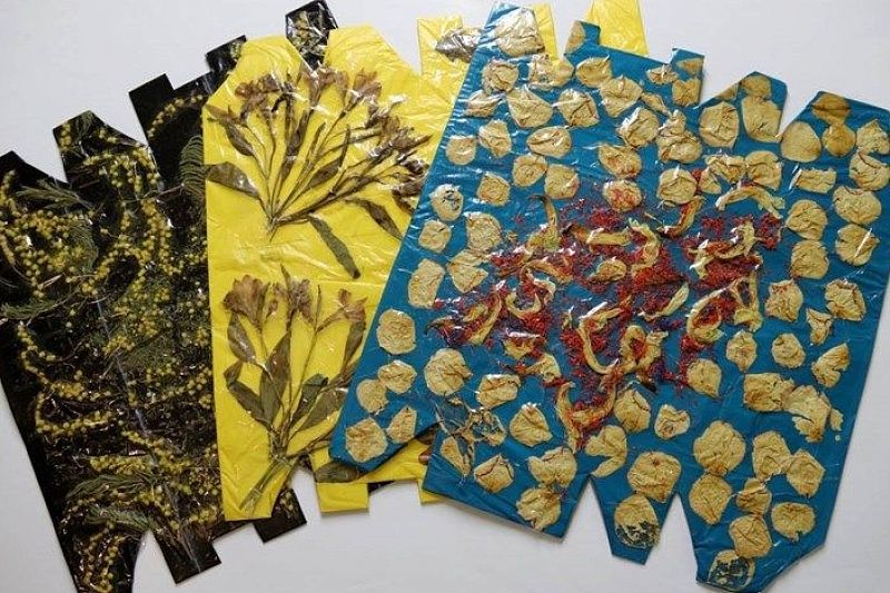 Картон, полиэтилен и лепестки цветов: в Краснодаре откроется выставка Валерия Скрипченкова