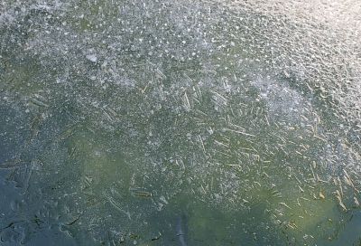 Толщина льда на водоемах в Краснодаре составила от двух до четырех сантиметров