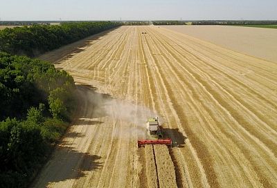 Губернатор Вениамин Кондратьев: «Меры поддержки аграриев позволят Кубани оставаться гарантом продовольственной безопасности России»