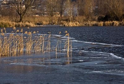 Подтопления на Кубани: вода зашла в десятки домов, работают оценочные комиссии