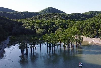 Туристы вытаптывают корни знаменитых кипарисов на озере Сукко