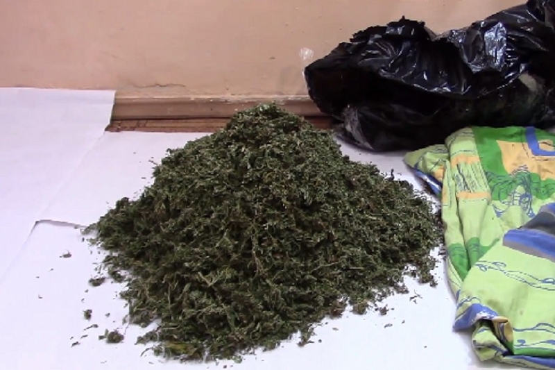 Житель Краснодарского края хранил в наволочке более 1 кг марихуаны