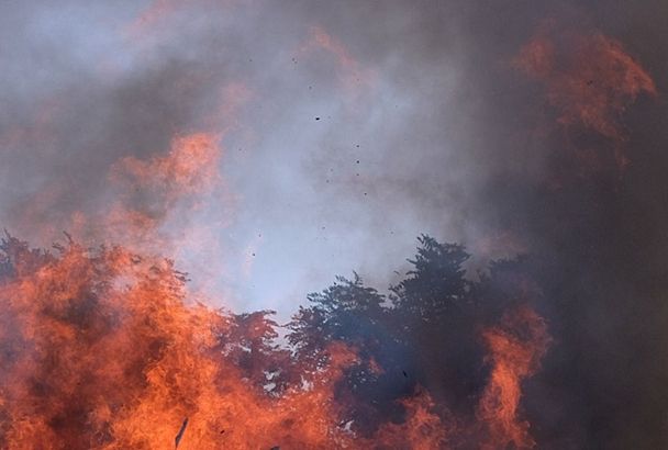 Пожар вспыхнул в лесу под Новороссийском