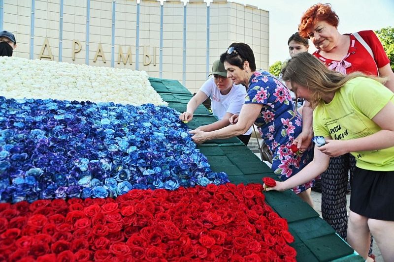 Цветочный рекорд: как в Краснодаре создают триколор из роз