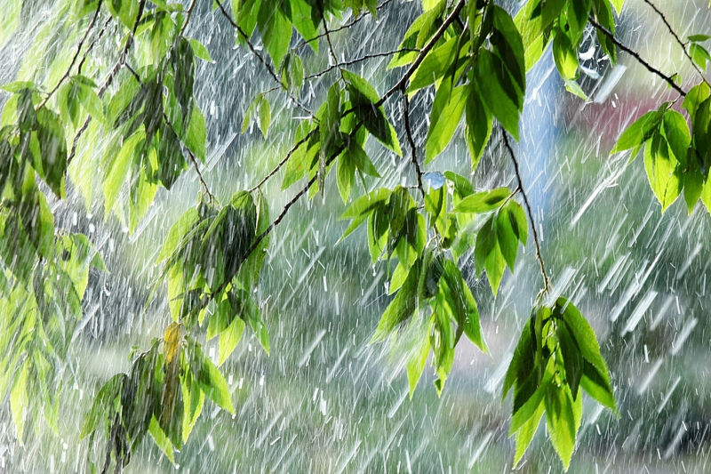 В горах Сочи ожидается сильный дождь