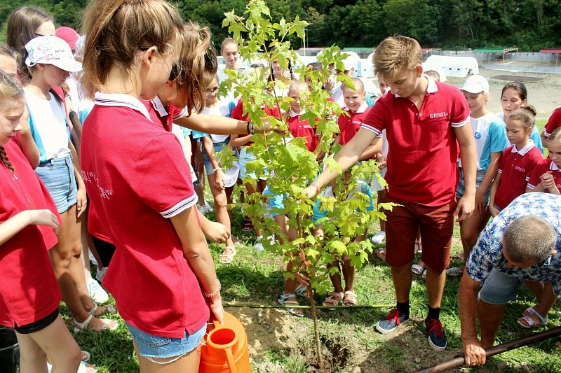 Всероссийский детский центр «Орлёнок» запускает краевую экологическую акцию «Экостарт»