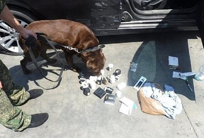На Кубани служебная собака нашла наркотики в машинах, доставленных по морю из США 
