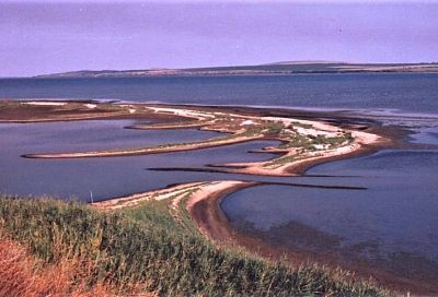 Соленые озера в Приморско-Ахтарском районе получили статус особо охраняемой природной территории