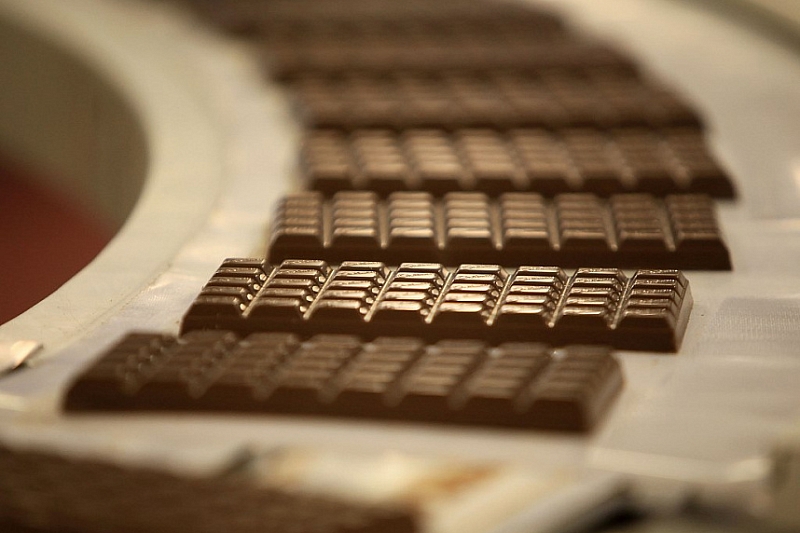 В Тбилисском районе до конца года откроется шоколадная фабрика