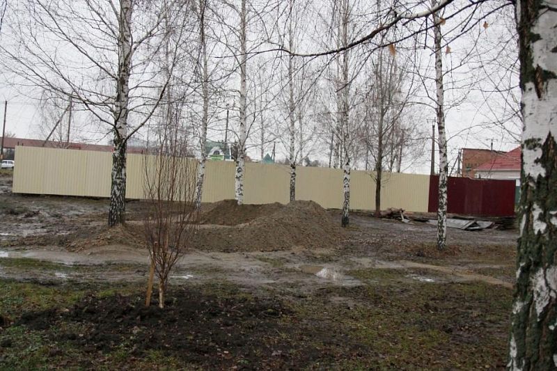 В Краснодарском крае общественность встала на защиту рощи, которую вырубают ради магазина