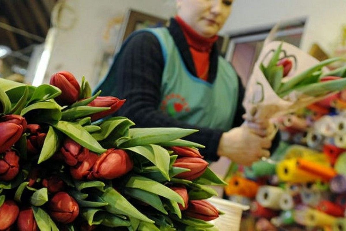 В Роскачестве рассказали, как выбирать цветы