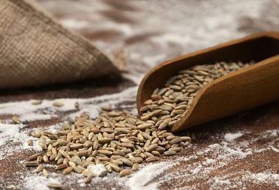 Правительство увеличило квоту на экспорт зерна: аграрии смогут вывезти за рубеж ещё 5 миллионов тонн