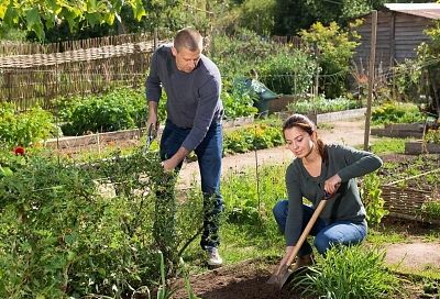 Как подготовить садовые инструменты к работе и защитить их от ржавчины