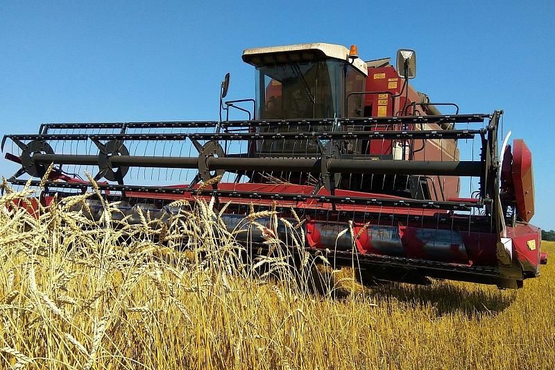 В Краснодарском крае в период уборки урожая для аграриев будет работать круглосуточная горячая линия