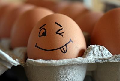 Ученые заставили курицу нести лекарственные яйца