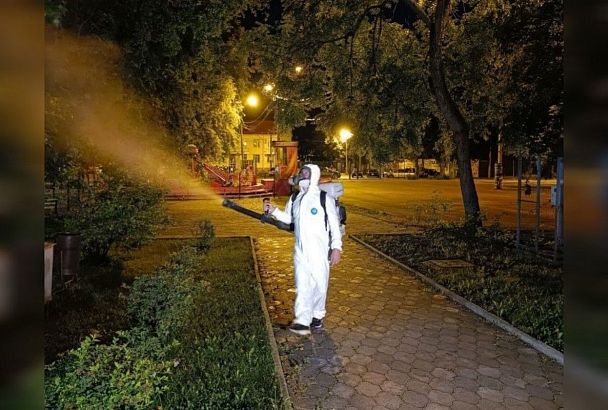 Парки Краснодара обработали от клещей и комаров 