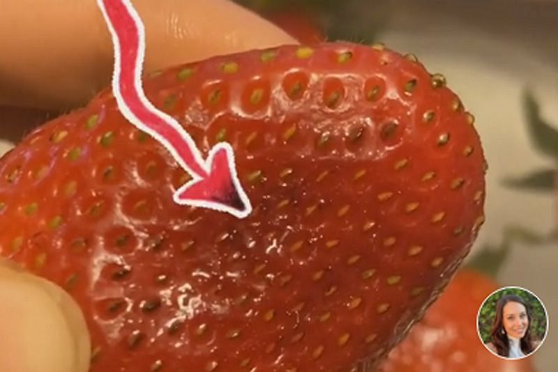В спелой клубнике живут личинки дрозофилы. Как не проглотить их вместе с ягодой? 