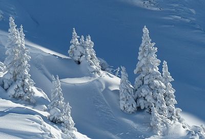 Красную Поляну в Сочи завалит снегом