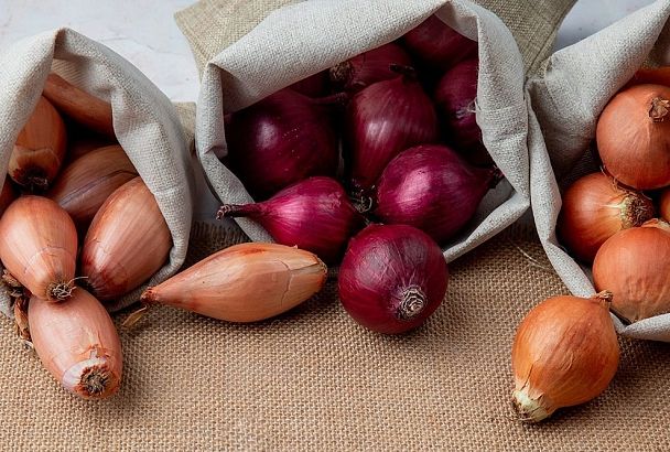 Дачникам Подмосковья назвали 3 сорта лука для осенней посадки с урожайностью до 5 кг/м²