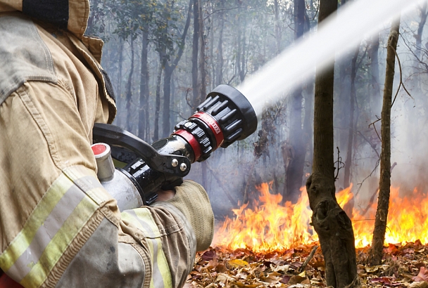 Прокуратура начала проверку по факту возникновения лесных пожаров в Краснодарском крае