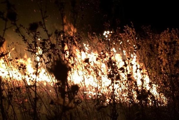 В Новороссийске потушили природный пожар на площади 2 гектара