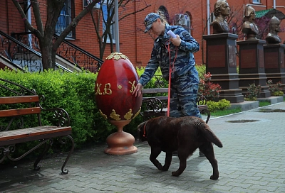 В Краснодаре кинологи обследуют территории храмов