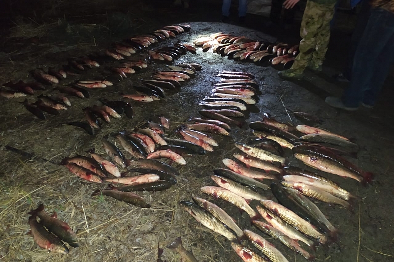 В Краснодарском крае задержаны браконьеры с крупной партией рыбы