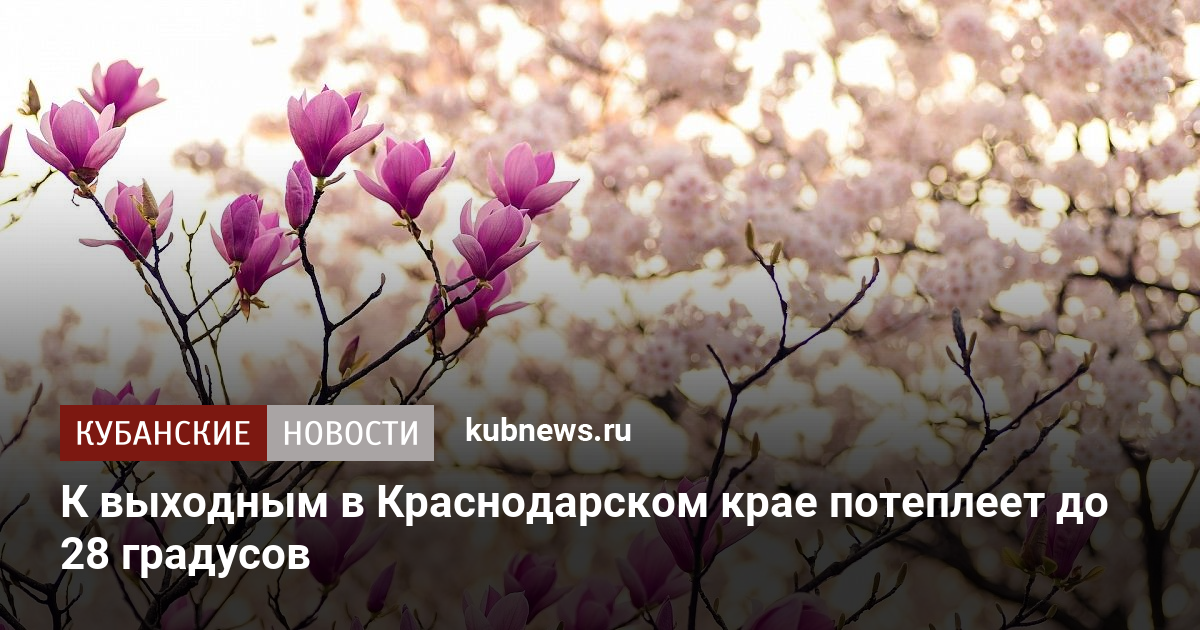 Когда потеплеет в краснодарском крае. Когда потеплеет в краснодарском крае. Климат краснодарского края весна 2020. Ночь октябрь. Когда потеплеет в краснодарском крае.