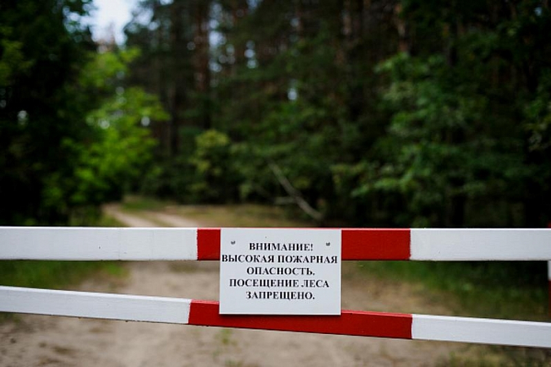 В Сочи временно запрещено посещать леса