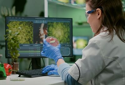 К 2036 году России потребуется более 22 тысяч специалистов в сфере биоэкономики