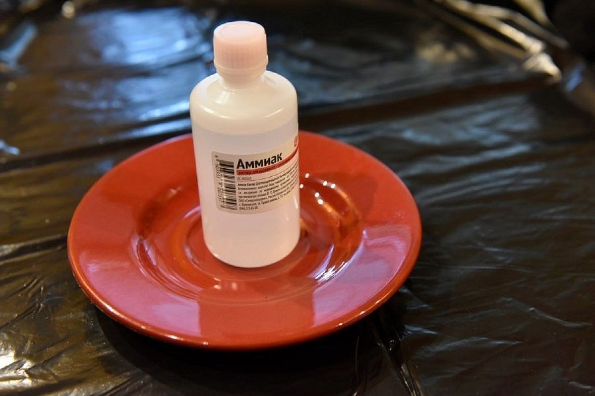 Это просто чудо какое-то: 5 способов использовать в саду и огороде нашатырный спирт