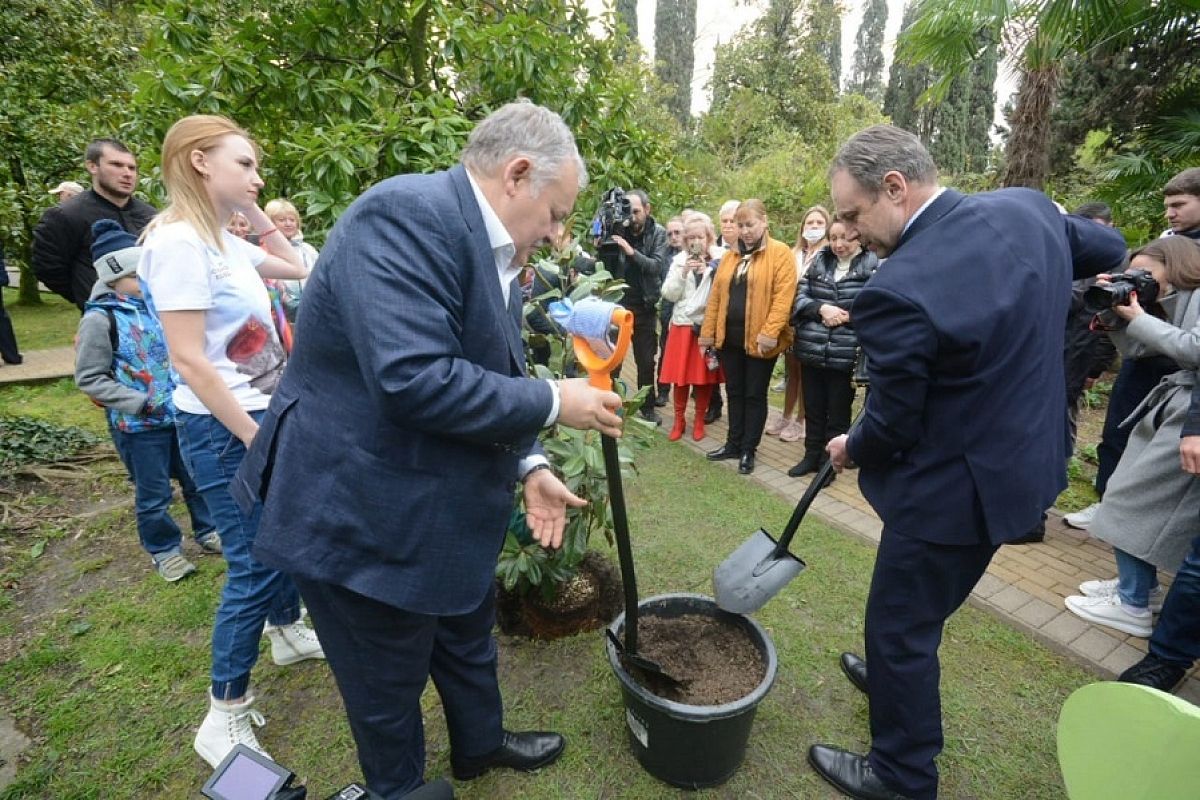 В Сочи прославленные летчики-космонавты посадили аллею магнолий