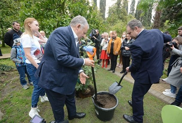 В Сочи прославленные летчики-космонавты посадили аллею магнолий