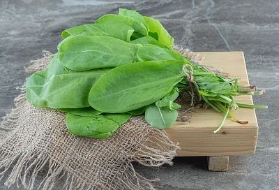 Ледяной суп из щавеля: главный тренд жары 2025 — рецепт от «Русской кухни»