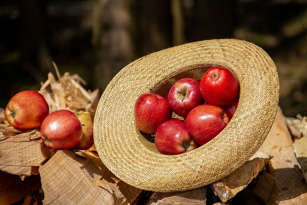 Продукты, которые помогут повысить гемоглобин