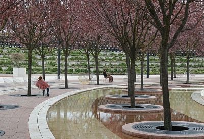 «Обидно, когда кто-то уезжает в Краснодар»: мэр Ростова-на-Дону заявил, что горожан привлекает парк Галицкого