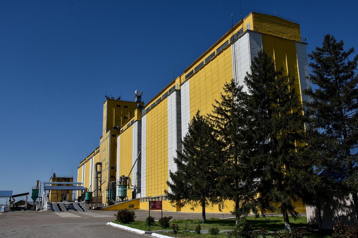 Сегодня Кореновский мукомольный завод выпускает пять сортов муки.