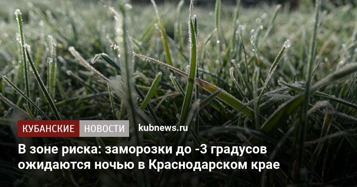 В зоне риска: заморозки до -3 градусов ожидаются ночью в Краснодарском крае
