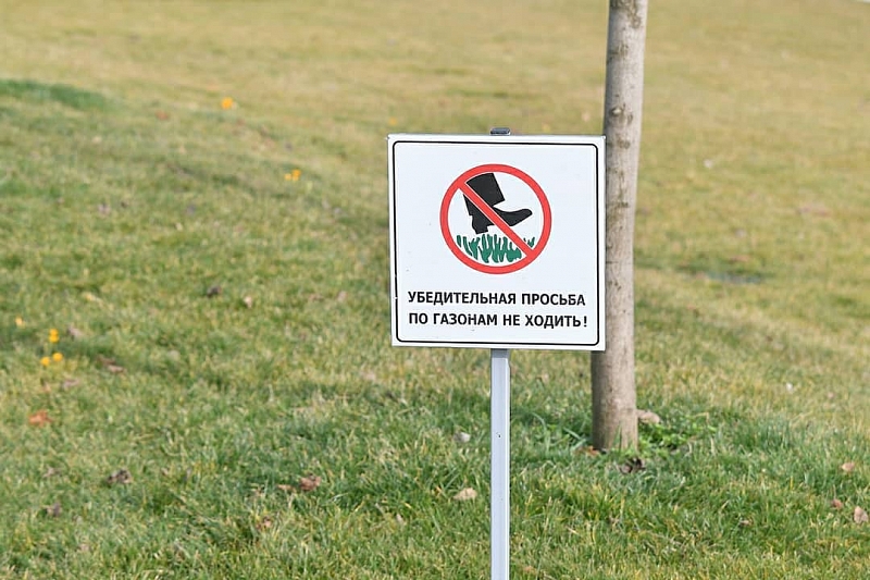 Посетителей парка «Краснодар» попросили не ходить по газонам и не срывать первоцветы